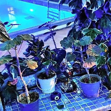 Stone House ホテル ボドルム